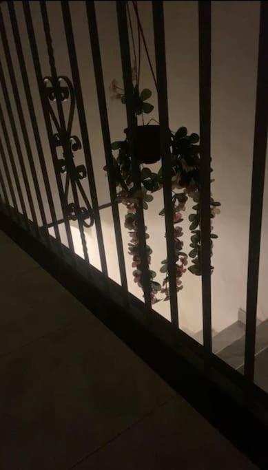 O'Core'E Napule' Daire Napoli Dış mekan fotoğraf
